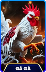 78WIN ⚽️ Trang Chủ Chính Thức 78WIN.COM Tặng 78K 2026 3 da ga 78win school